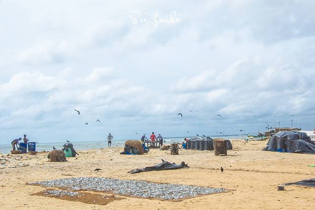 【斯里兰卡漫游记】锡兰