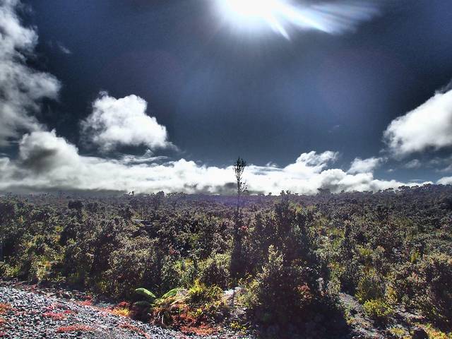 在夏威夷看火山才是正经事