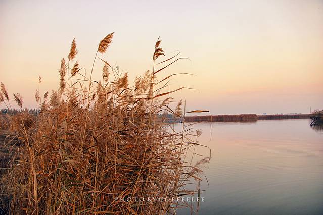 【小锋】银川,旅行在人生的十字路口