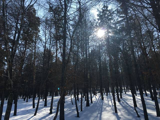 驿马山森林公园