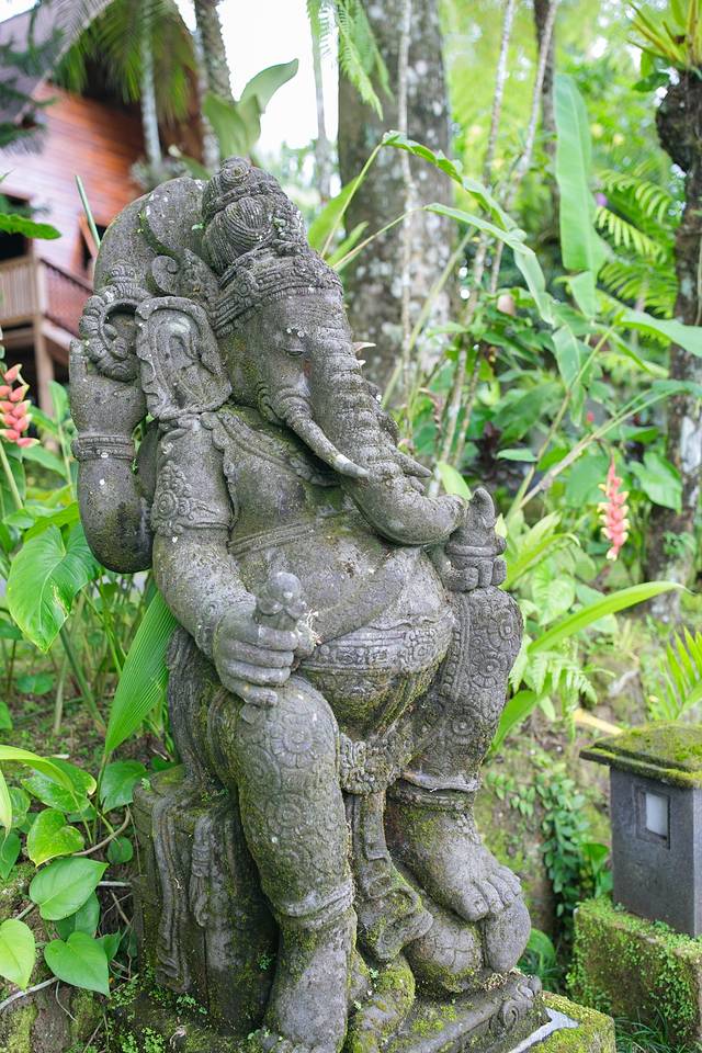 巴厘岛大象公园