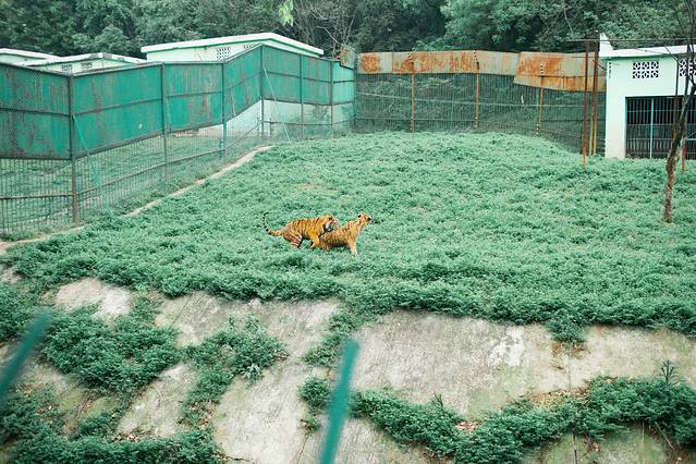 浦口珍珠泉野生动物生态园