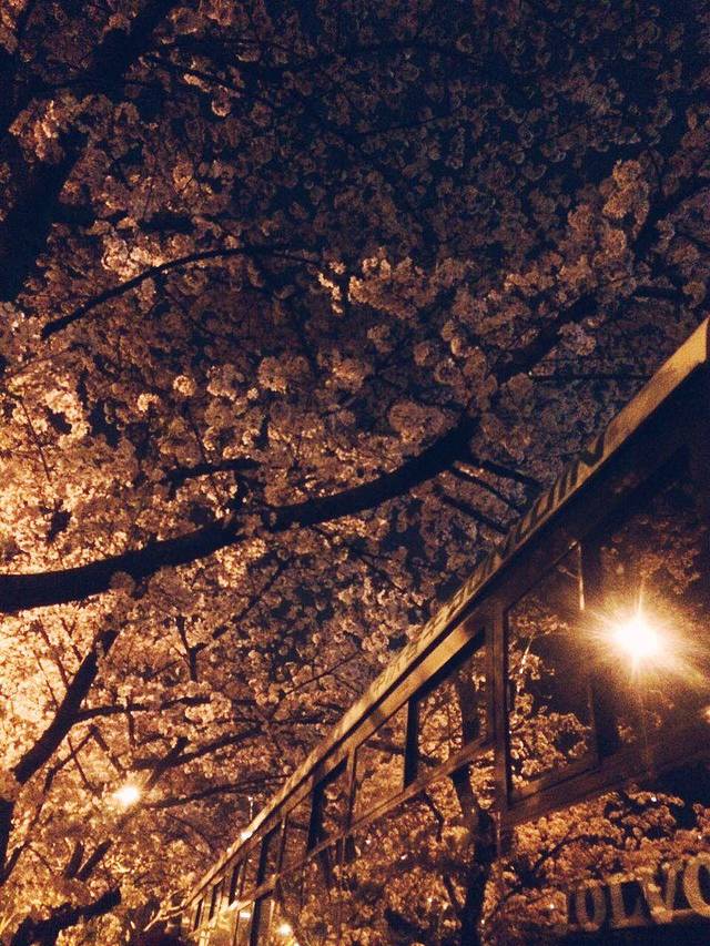 南浦大桥浦西公交枢纽站