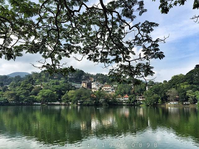 追风少女停留在热带岛国,斯里兰卡19天