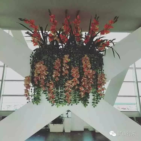 在吉隆坡转机8小时内不用办理落地签,下飞机直