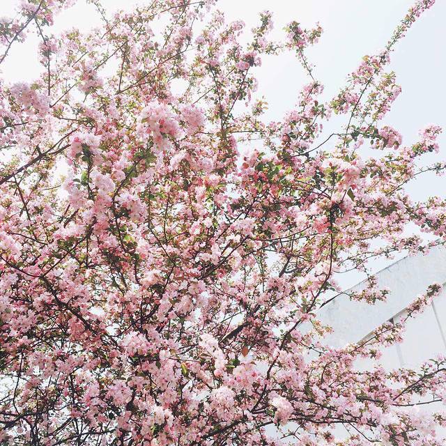 南浦大桥浦西公交枢纽站