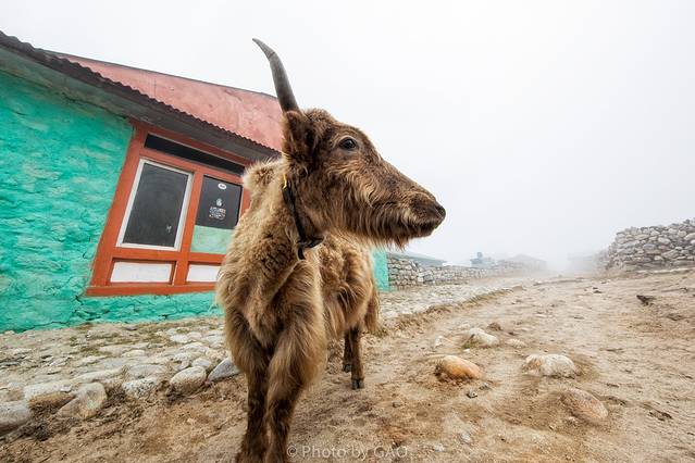 萨加玛塔国家公园