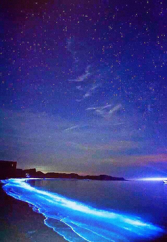 平潭海岛国家森林公园