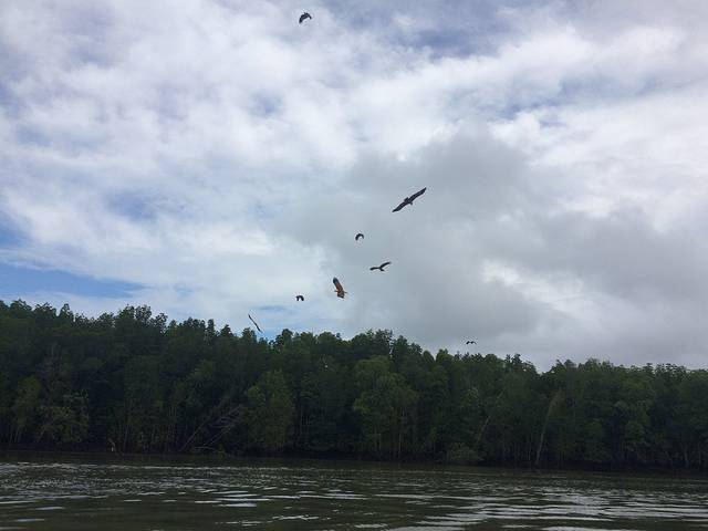 兰卡威地质公园