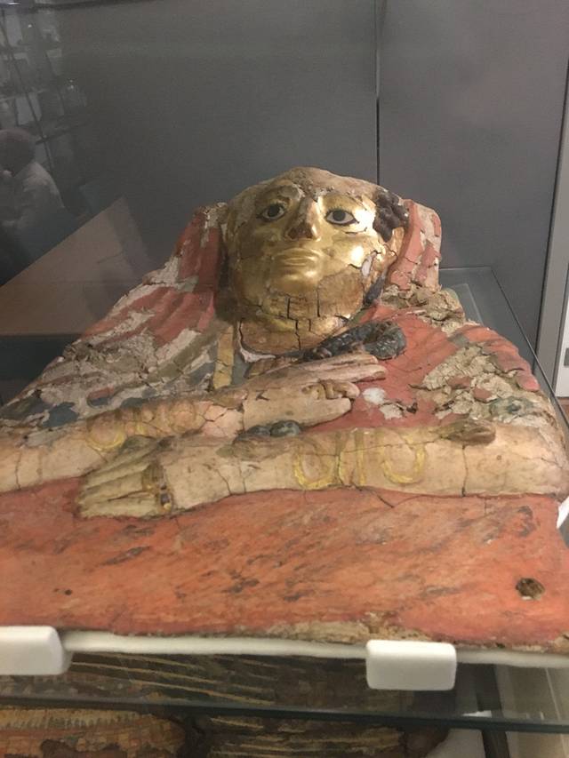 皮特里埃及考古博物馆