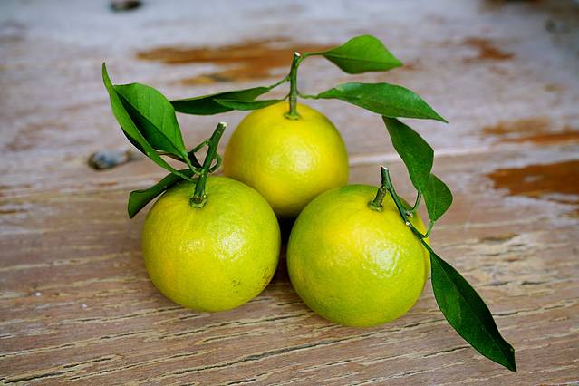 Helen晓世界 带着爸妈游三亚