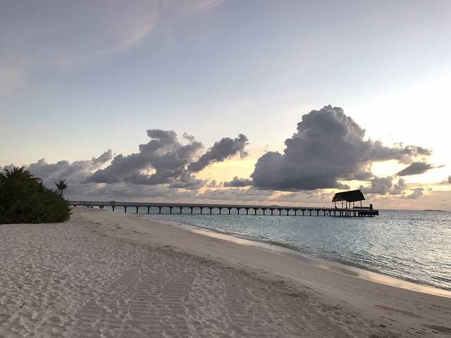 珊瑚海龟,椰林星空:马尔代夫阿玛瑞豪沃达の蔚