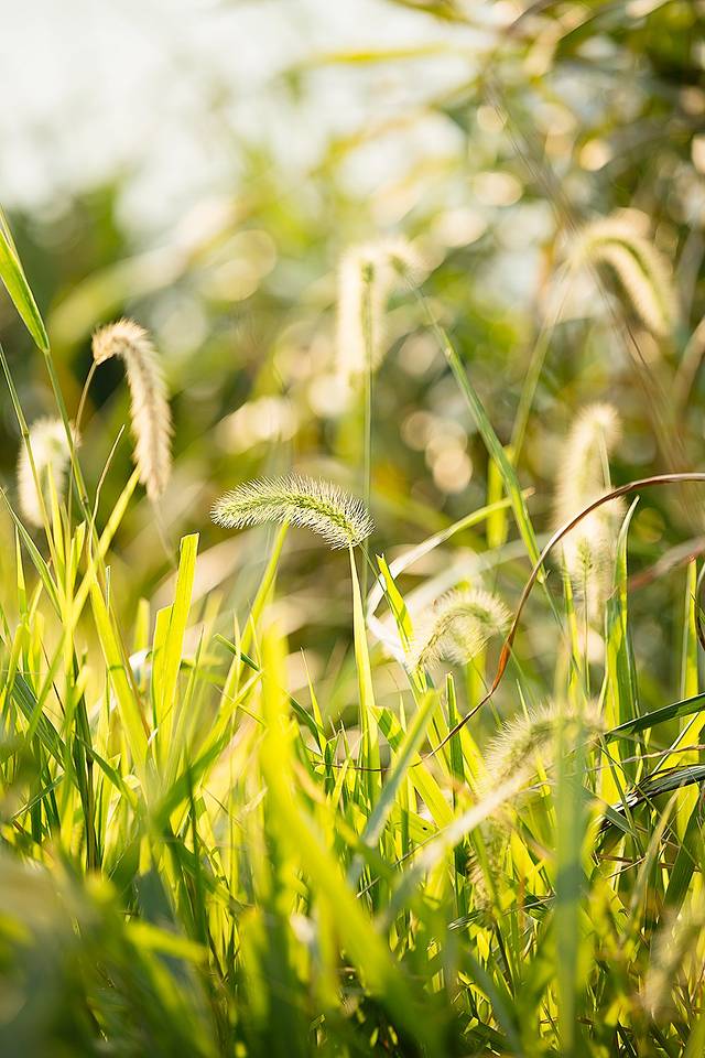 时隔三年,那一片蓝,叫渔山(超多大片,最新详细