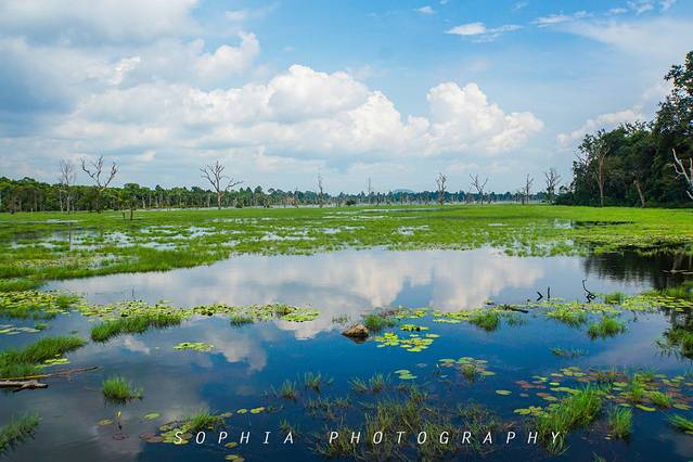 带着俩娃玩转世界--2016高棉的海,四个半月的