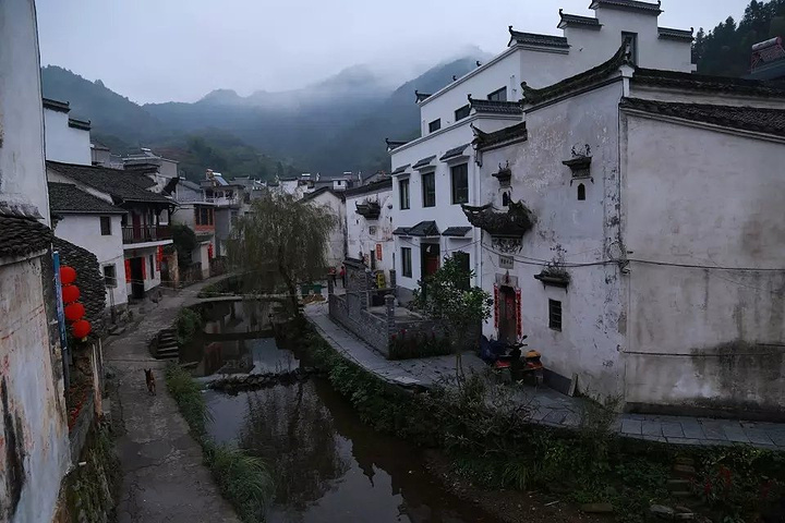 "与许多商业化的旅游景点相比，这里是纯粹的原生态，没有喧嚣，没有人群的熙熙攘攘，村子出奇的安静_芹川村"的评论图片