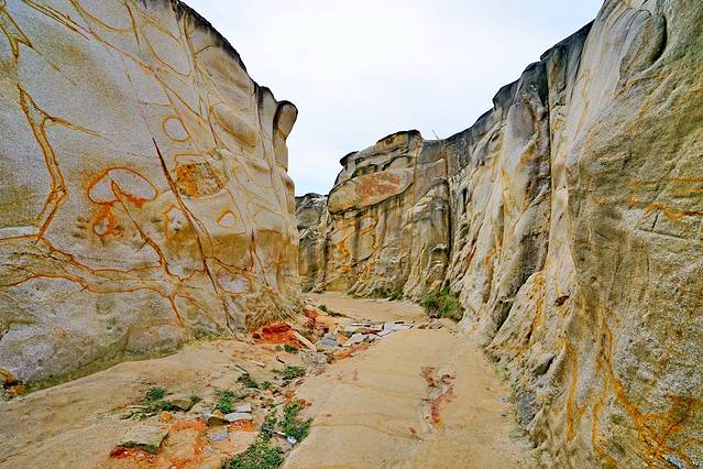 龙美湾(抽象画廊)