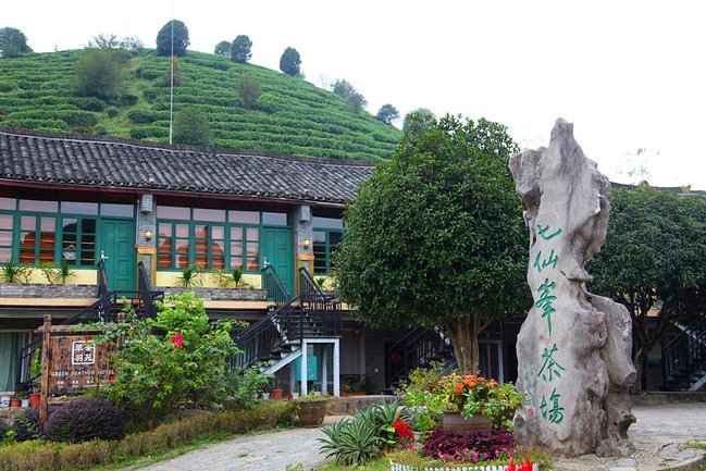 七仙峰茶园也是桂林目前唯一一个游客可以游玩采摘的生态有机茶场以茶