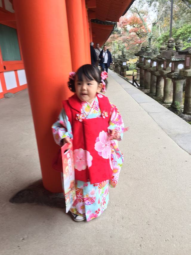 关西枫情--一场枫叶季的朝圣の旅