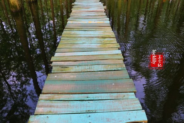 渌洋湖湿地公园