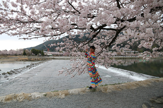 #游记小赛#京都四月游,樱花烟雨惹人留_京都旅