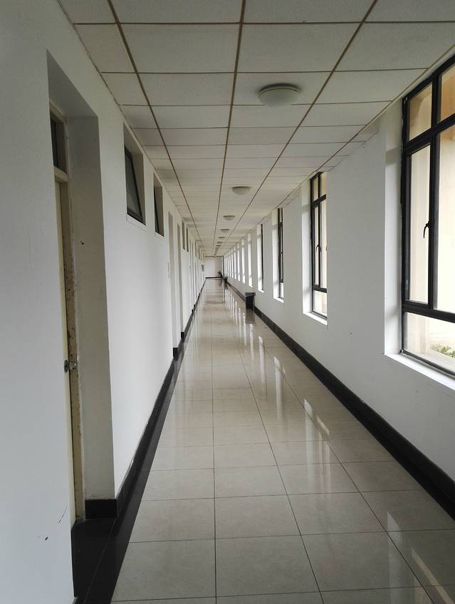 上海外国语大学