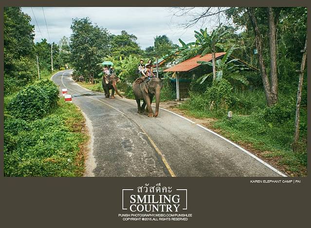 Thom's拜县大象营