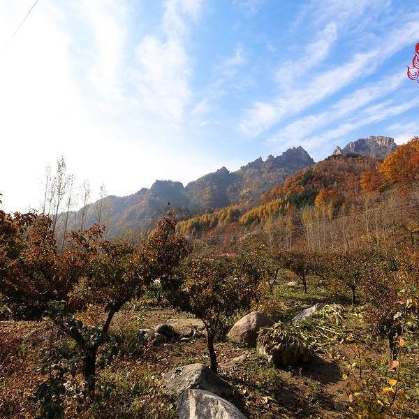 2018雾灵山门票,兴隆雾灵山游玩攻略,雾灵山游