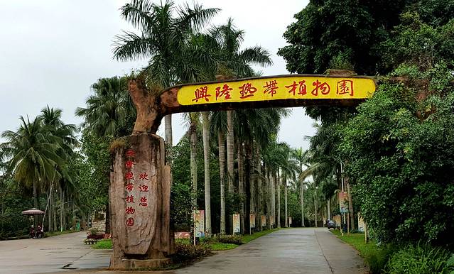 兴隆热带植物园