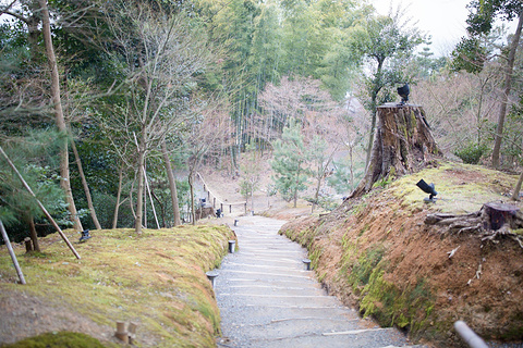 高台寺旅游景点攻略图