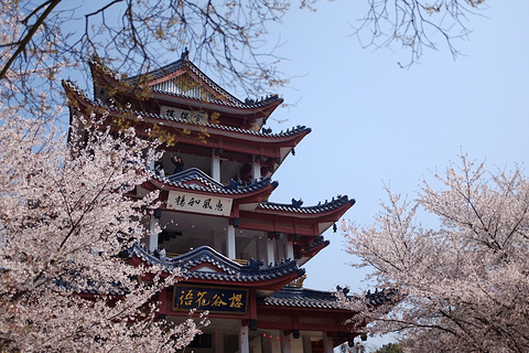鼋头渚