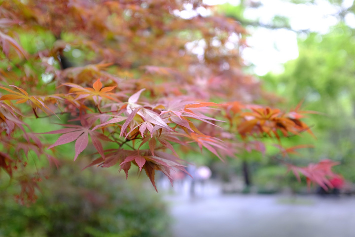 2017顺风车直达杭州民宿,放了行李,第一想去的