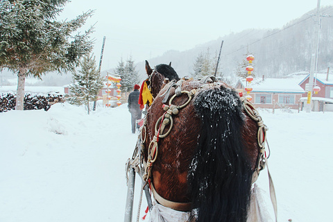 雪乡狗熊岭旅游景点攻略图