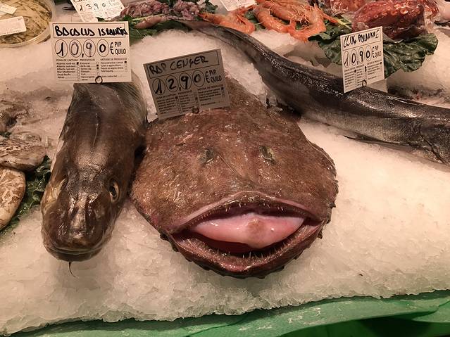 圣卡塔林纳市场