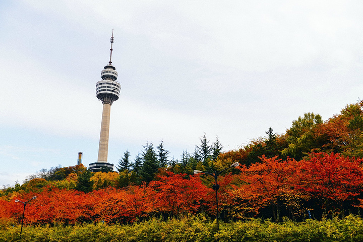 大邱83塔俯瞰大邱美景