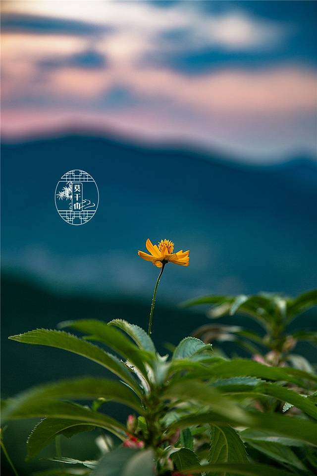 浙江莫干山庄·餐厅