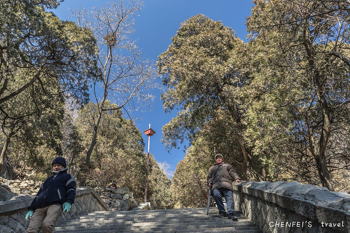 "▲▲从中天门看泰山顶，中间凹下去的地方就是登山路、十八盘、南天门_中天门"的评论图片