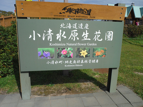小清水原生花园