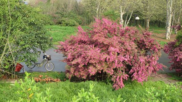 南岸嘴江滩公园