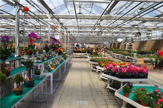 世界花卉大观园