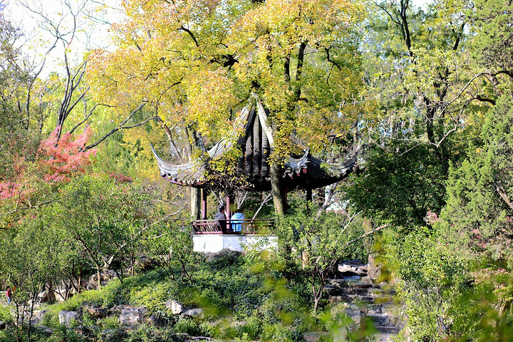 2017你会发现白白的墙壁上满是古声古色的名家诗词歌赋等等,或是人物简介,或是园林游记,有兴趣的可以驻足品味_拙政园评论 - 去哪儿攻略社区