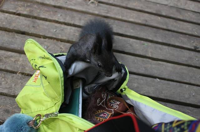 十八站鄂伦春民族乡