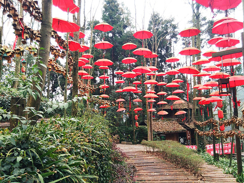 2018华山门票优惠政策_华山2017年门票收入(3)