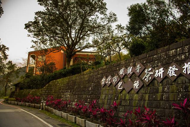 台北市铁观音包种茶研发推广中心
