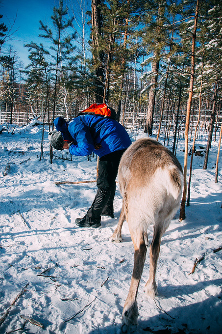 不如一路向北去漠河,过一个零下40℃的冬天