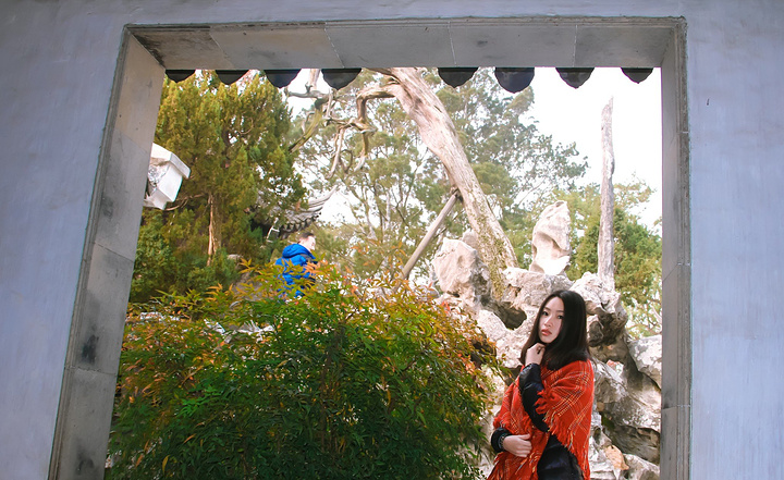 去了狮子林,小学课本里叶圣陶一篇《苏州园林