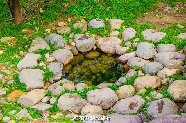 江山樱红,青茶碧水,闻香识『余姚』(超多美图)