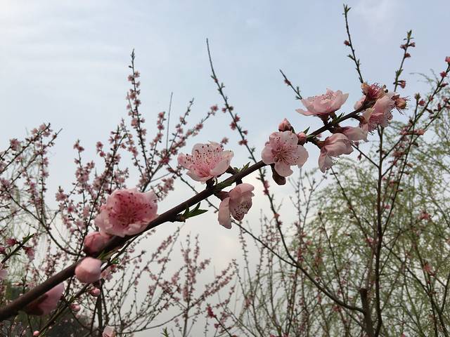 湖州梁希森林公园