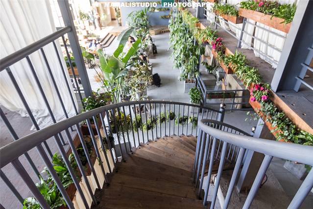 馨博花卉休闲园