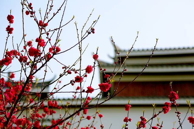 西陵峡世外桃源