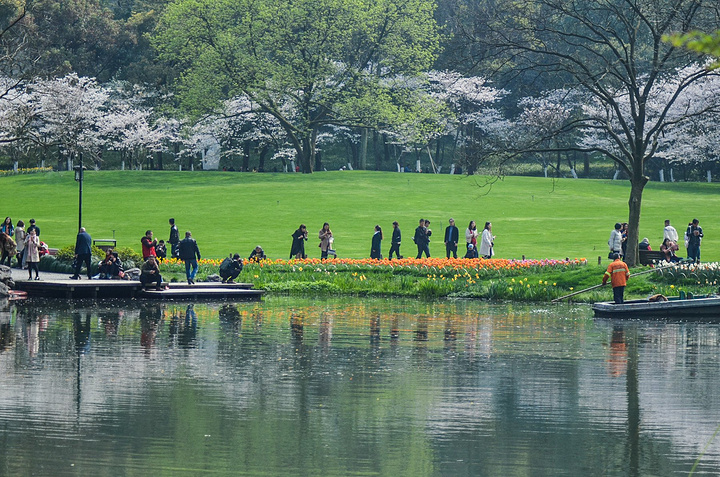 苏堤这座公交车站附近不知道蕴藏了多少令人惊